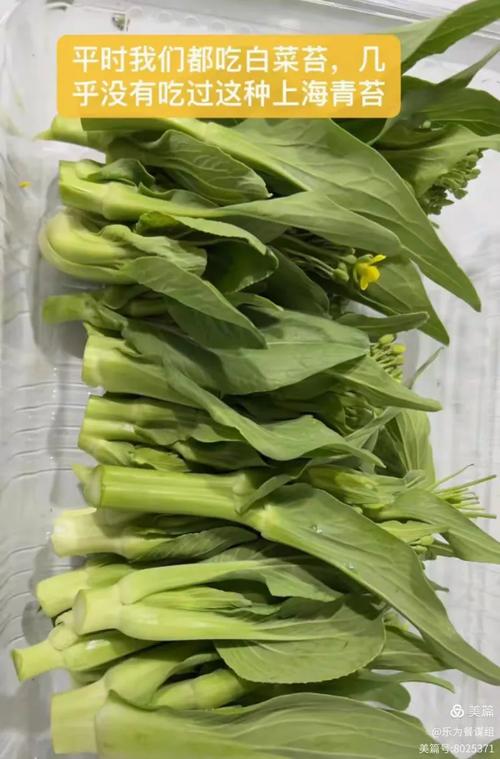 岐黄喰养